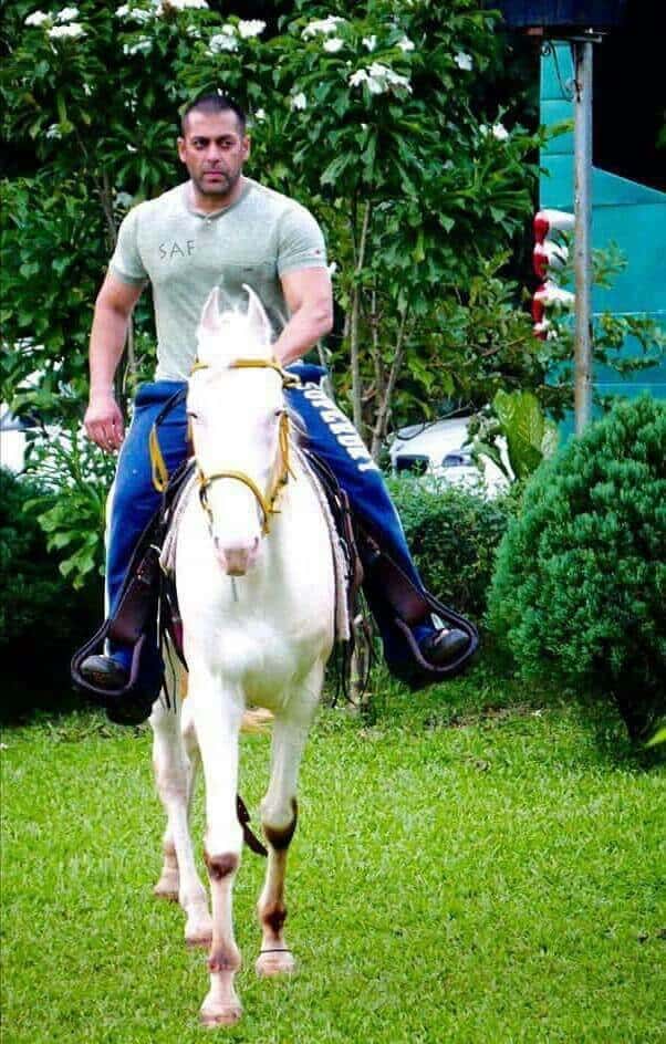 Salman Khan Riding a Horse