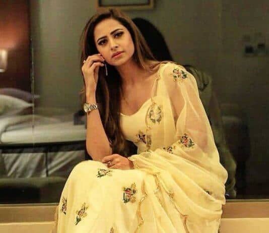 Sargun Mehta Biography: Height, Weight, Age, Net Worth, Affair, Family, Wiki Sargun Mehta biography