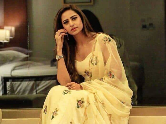 Sargun Mehta biography