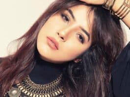 Shehnaaz Kaur Gill Biography: Height, Weight, Age, Net Worth, Affair, Family, Wiki